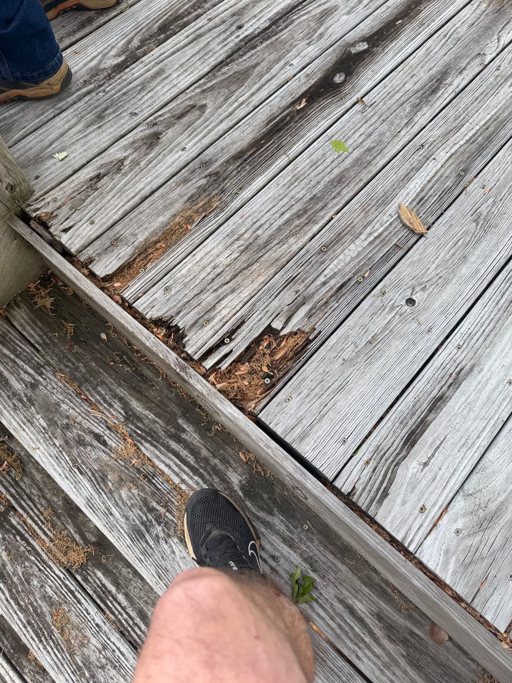 Rotted Deck Replaced with Custom Cedar Build in Greer SC image