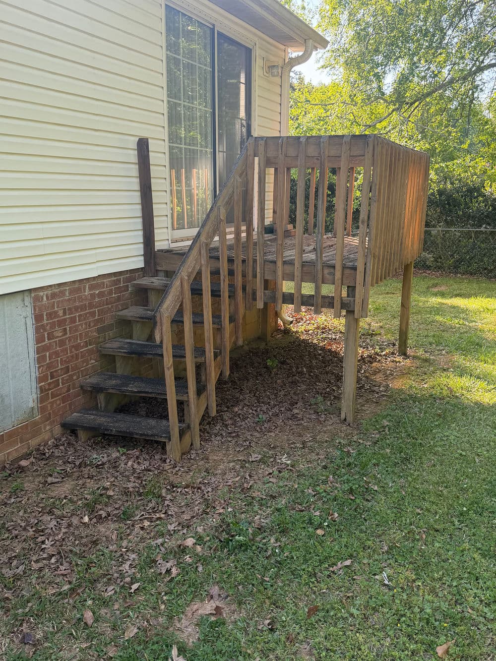 We Gave Miss Joann a Free Deck - Here's Why image